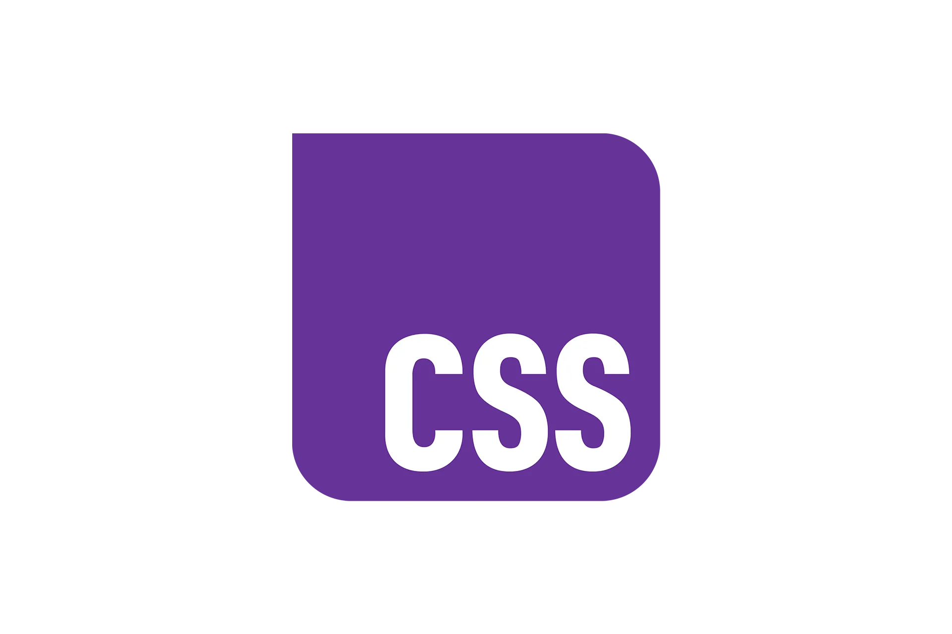 CSS Logo